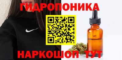 скорость Можга
