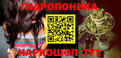гашик Можайск