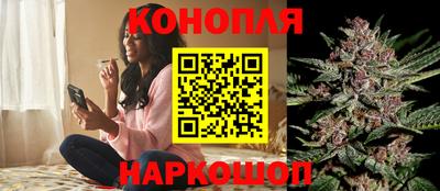 гашик Можайск