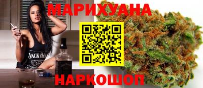 гидра Моздок