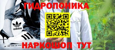гидра Моздок