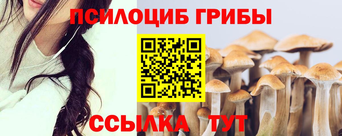 Псилоцибиновые грибы GOLDEN TEACHER Югорск